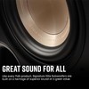 普乐之声（polk）ES8 100W家庭影院音箱 家用客厅有源低音炮8英寸长冲程超低音 黑色 商品缩略图5