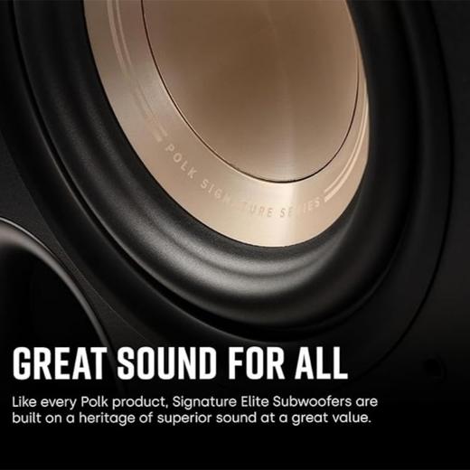 普乐之声（polk）ES8 100W家庭影院音箱 家用客厅有源低音炮8英寸长冲程超低音 黑色 商品图5