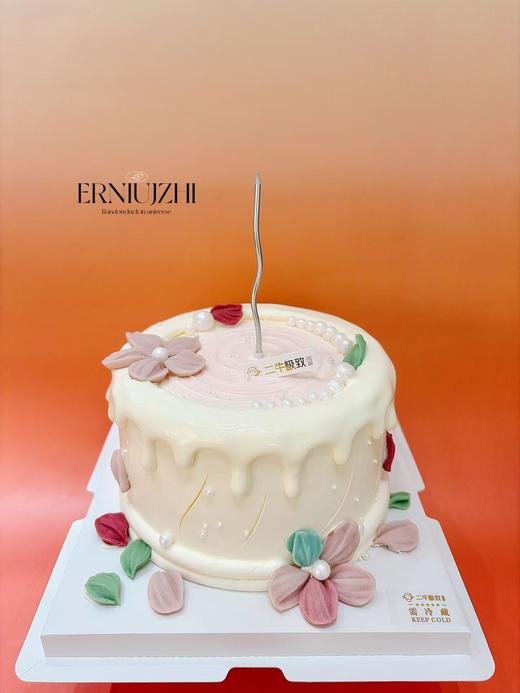 春日花语 商品图0