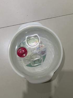 TD 微波炉碗10.5cm*12.5cm(500ml）