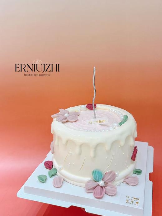 春日花语 商品图2