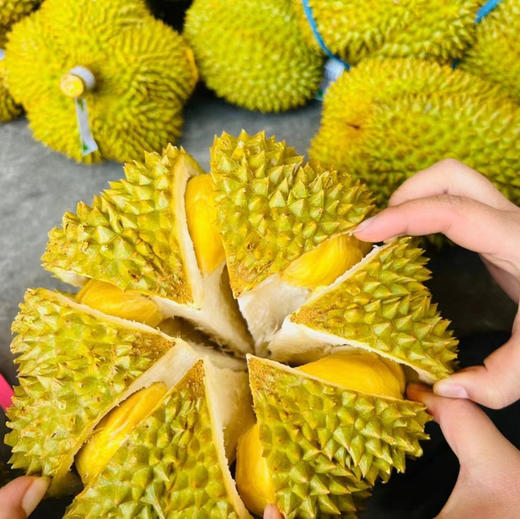 【甲仑榴莲】泰国老品种榴莲/果肉细腻口感甜糯榴莲香味重/核较大但果型饱满(包4房) 商品图2