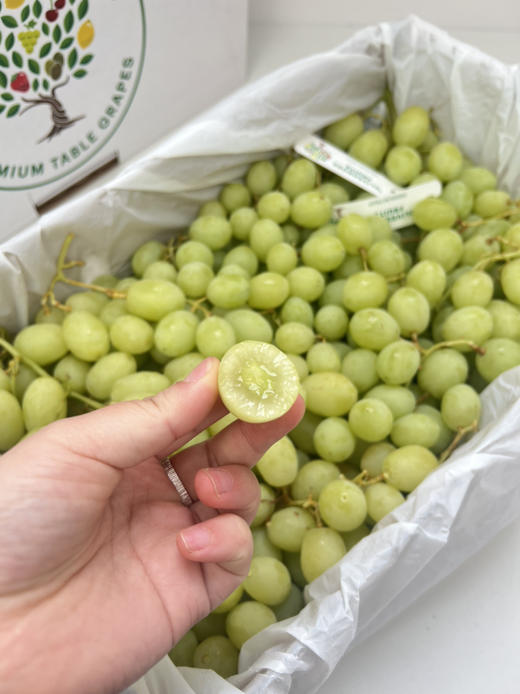 澳洲甜地球青提 商品图6