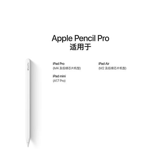 Apple/苹果 Pencil Pro 磁吸触控笔手写笔苹果笔电容笔书写绘画ipad笔 商品图3