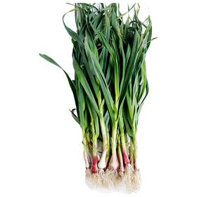 兰菇良大蒜叶500g/份