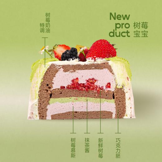 树莓宝宝【第二代 · Jelly宝宝升级】 商品图1