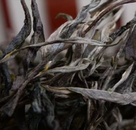 南迫古树/散茶/500g【TC】