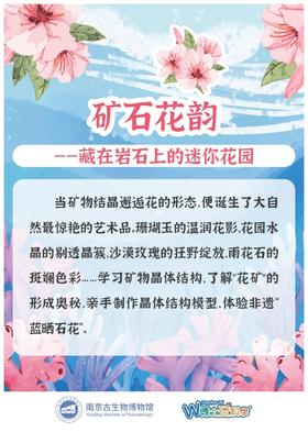 【南古馆】矿石花韵
