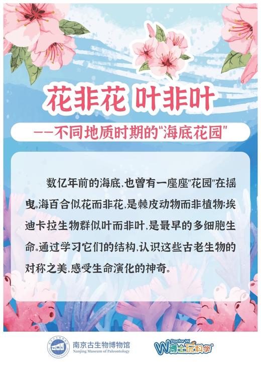 【南古馆】花非花 叶非叶 商品图0
