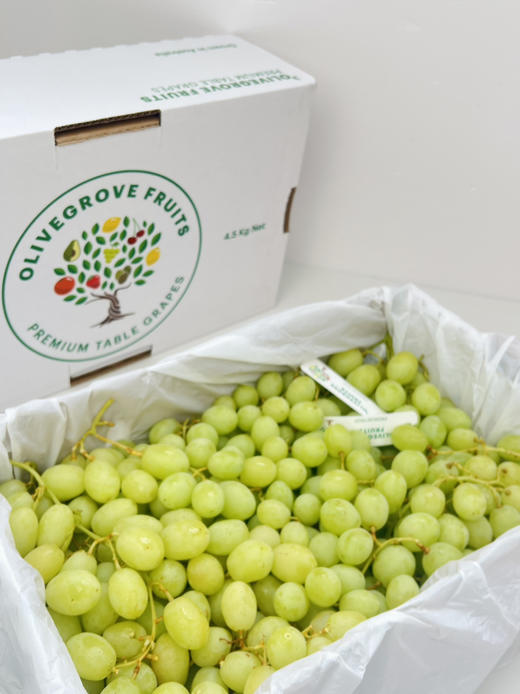 澳洲甜地球青提 商品图0