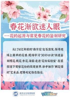 【南古馆】春花渐欲迷人眼