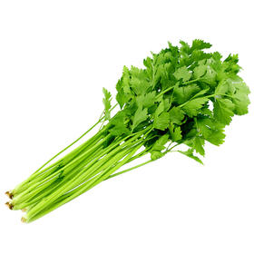 兰菇良芹菜400g/份