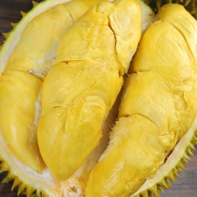 【甲仑榴莲】泰国老品种榴莲/果肉细腻口感甜糯榴莲香味重/核较大但果型饱满(包4房)