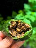 【季节好食】香菇牛肉青团 商品缩略图0