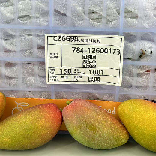 海南树熟「贵妃芒」小果 1kg 约11～13个 商品图4