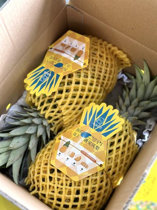 海南金钻凤梨礼盒装 商品图0