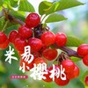 米易小樱桃 250g/盒 商品缩略图0