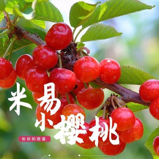米易小樱桃 250g/盒 商品图0