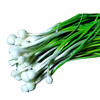 兰菇良野葱500g/份 商品缩略图0