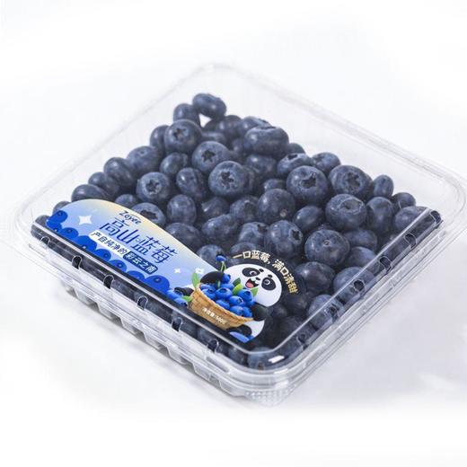 云南高山蓝莓500g14mm 商品图1