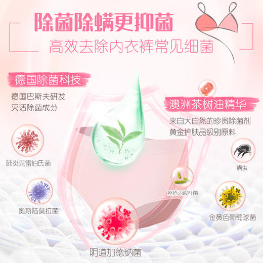【两瓶装】立白内衣专护除菌洗衣液 250g/瓶 除菌率99.9% 商品图3