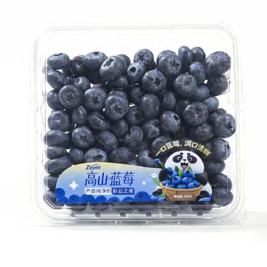 云南高山蓝莓500g14mm 商品图2