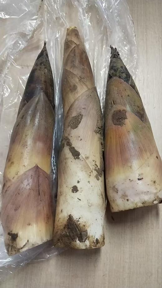 【社群团购】春笋【约2斤】【周一送货上门】 商品图2