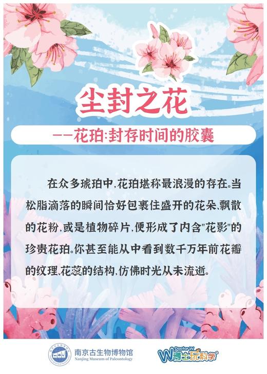 【南古馆】尘封之花 商品图0