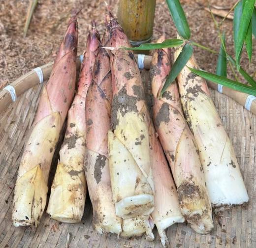 【社群团购】春笋【约2斤】【周一送货上门】 商品图3