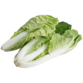 兰菇良快菜400g/份