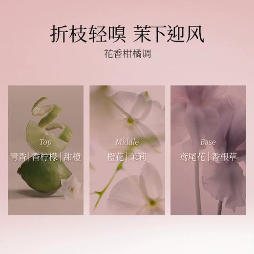 FAN BEAUTY DIARY 抬手生香凝玉特润精油护手精华乳 茉下迎风香 65g （全英文） 商品图1