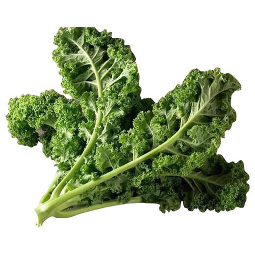 兰菇良羽衣甘蓝400g/份 商品图0