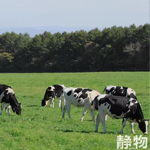 有机纯牛奶200g*12/箱（4.0g优质乳蛋白）｜云南红河 商品图2