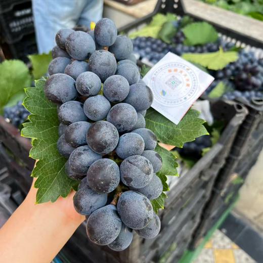 新鲜夏黑葡萄 商品图0