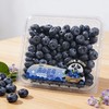 云南高山蓝莓500g14mm 商品缩略图0