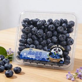 云南高山蓝莓500g14mm