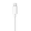 Apple/苹果 EarPods USB-C有线耳机 商品缩略图4