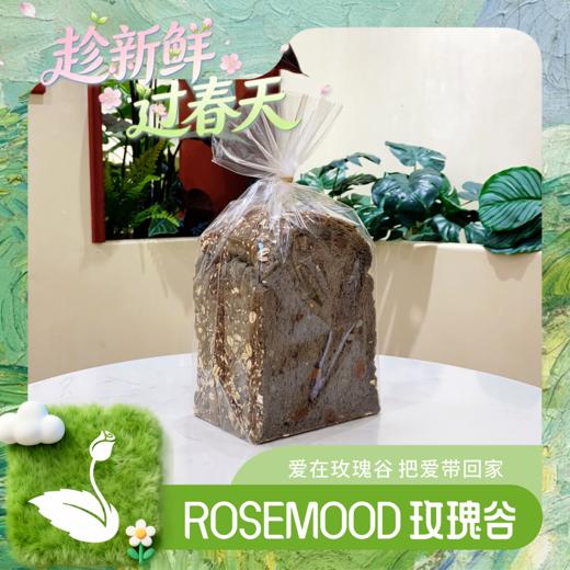 五黑养元吐司 商品图0