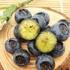 澄江花香蓝莓中果/大果 商品缩略图2