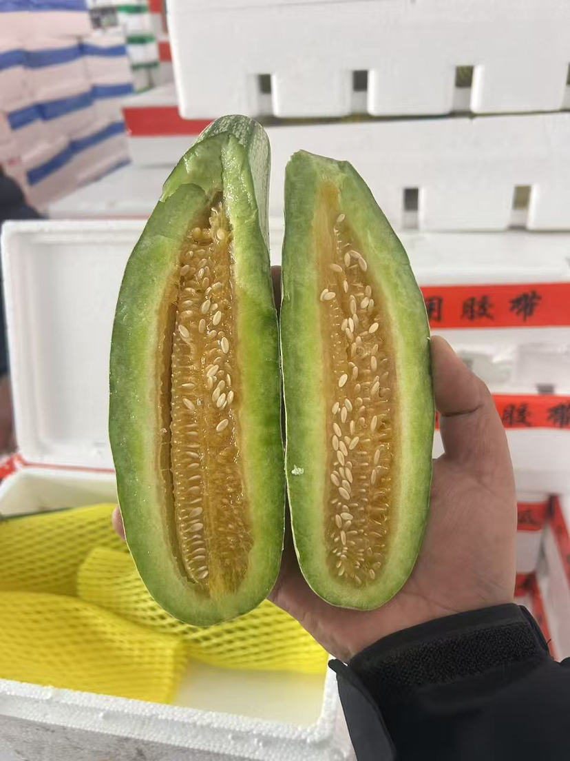 16.8/箱山东博洋61蜜瓜（3-4粒装）净果约2.5斤左右