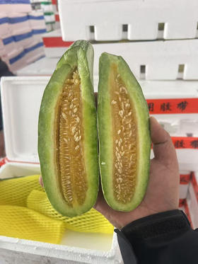 16.8/箱山东博洋61蜜瓜（3-4粒装）净果约2.5斤左右