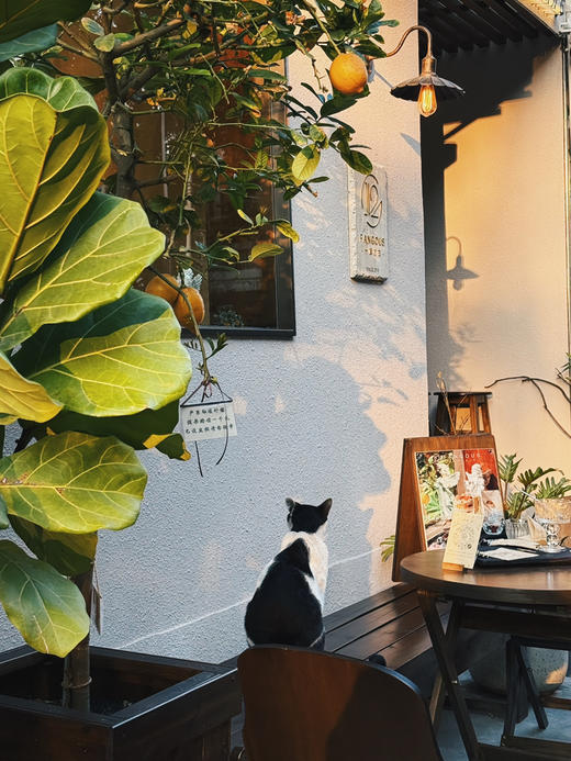 堂食门店 商品图2