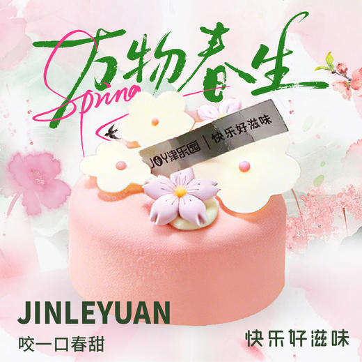 知春海棠慕斯西点 商品图0