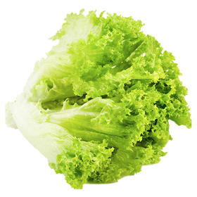 兰菇良生菜400g/份