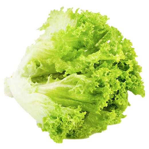 兰菇良生菜400g/份 商品图0