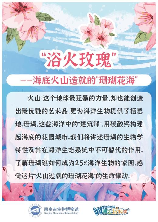 【南古馆】浴火玫瑰 商品图0