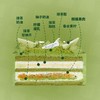 【春之绿】青柠抹茶柑橘 商品缩略图1