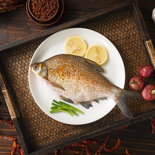 【助农】江城百臻 武昌鱼 500g*4 商品图2