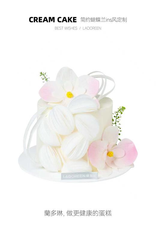 简约蝴蝶兰ins风定制 商品图0