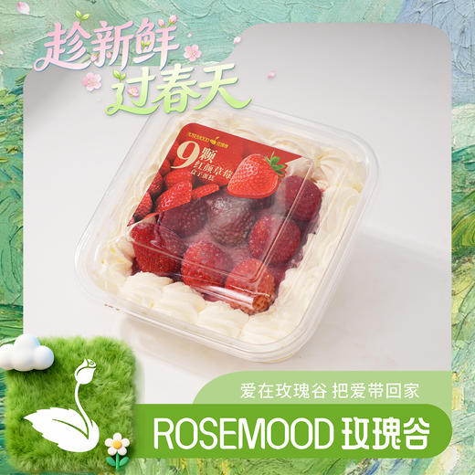 9颗草莓盒子 商品图0